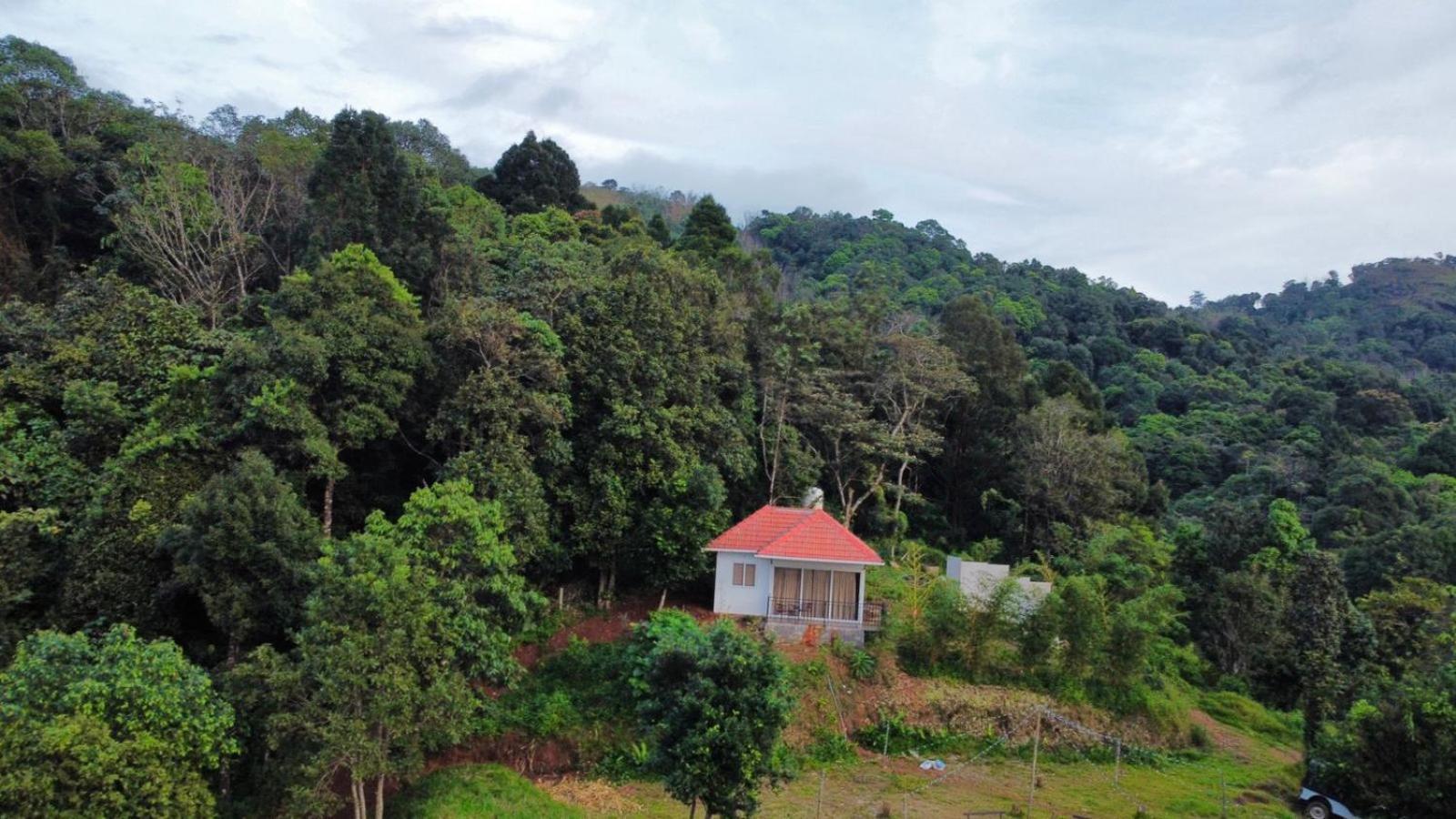 Kakkadampoyil Misty Hideout Bed & Breakfast エクステリア 写真