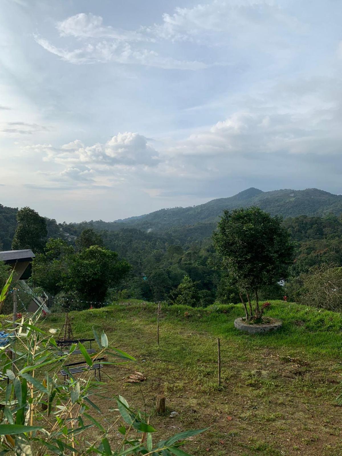 Kakkadampoyil Misty Hideout Bed & Breakfast エクステリア 写真